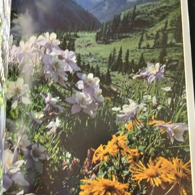Colorado framed poster with two Colorado coffee table Oversized hardback books