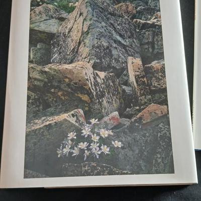 Colorado framed poster with two Colorado coffee table Oversized hardback books