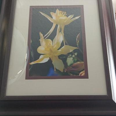 Small touch lamp with framed pictures of Flowers