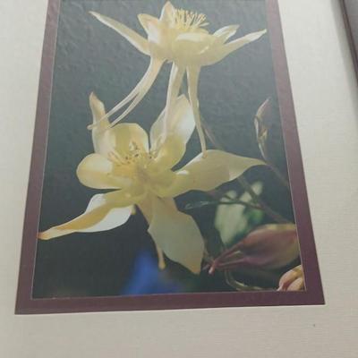 Small touch lamp with framed pictures of Flowers