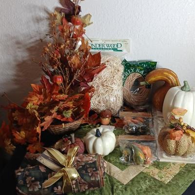 Fall Decorations, table mats, napkins, gourds pumpkins and more