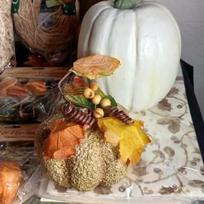 Fall Decorations, table mats, napkins, gourds pumpkins and more