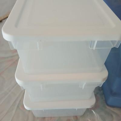 Collection of small storage totes with lids
