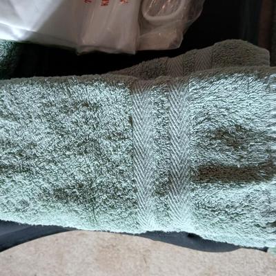 Green Mist bathrug with matching towels and a shower curtain