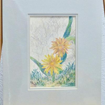 Mountain Dandelion