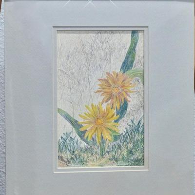 Mountain Dandelion