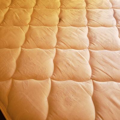 TG Buckley Bedframe (BGB-KD)
