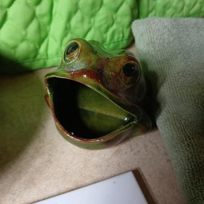Green fabric appliance covers, with dish drying towels and soap dish frog