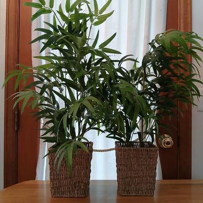 Two Faux bamboo plants in baskets - brand new with tags