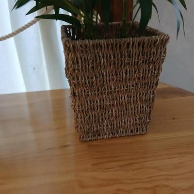 Two Faux bamboo plants in baskets - brand new with tags