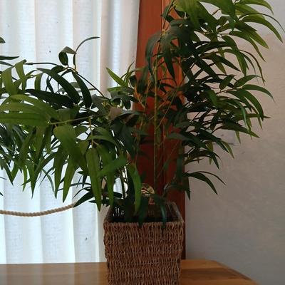Two Faux bamboo plants in baskets - brand new with tags