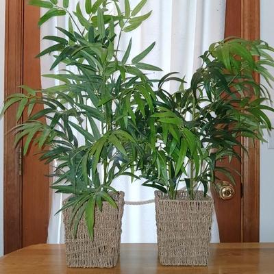 Two Faux bamboo plants in baskets - brand new with tags