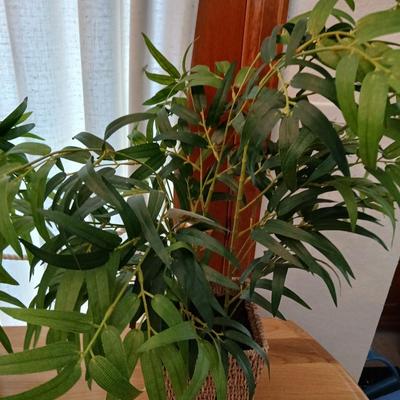 Two Faux bamboo plants in baskets - brand new with tags