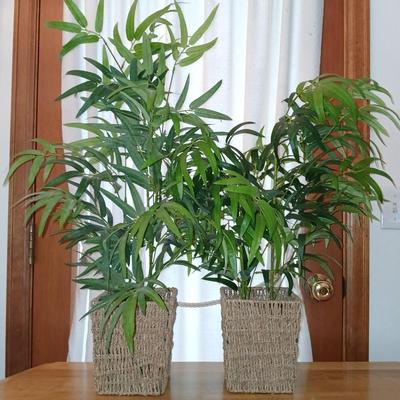 Two Faux bamboo plants in baskets - brand new with tags