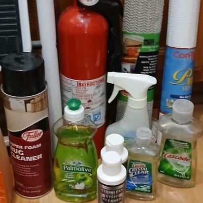 Step ladder, cleaning supplies and a fire extinguisher