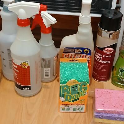 Step ladder, cleaning supplies and a fire extinguisher