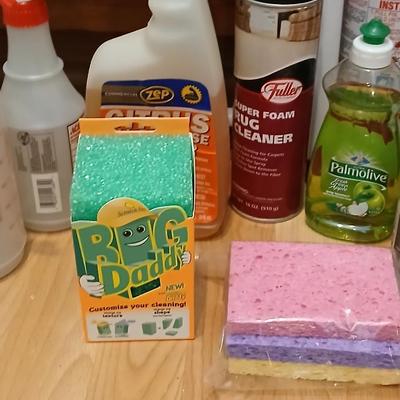 Step ladder, cleaning supplies and a fire extinguisher