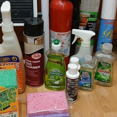 Step ladder, cleaning supplies and a fire extinguisher