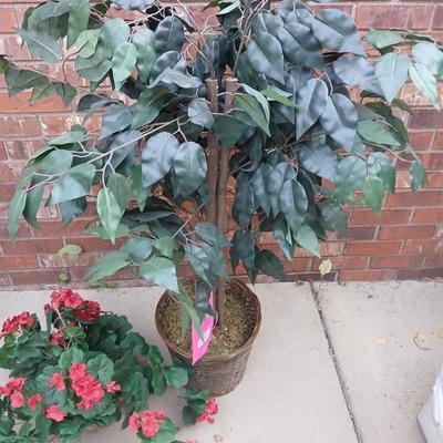 Faux houseplants 6' Ficus tree and red flowers in a basket