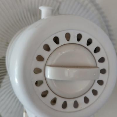 Two fans , Lakewood freestanding fan and a White Westinghouse oscillating fan