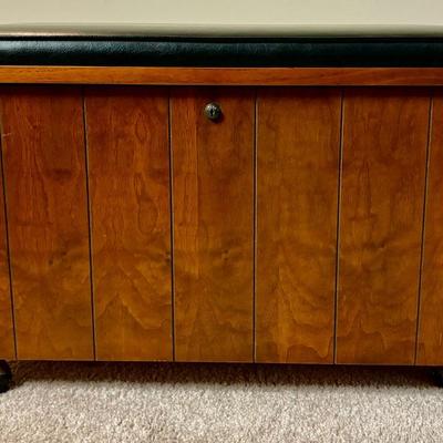 Record/storage cabinet
