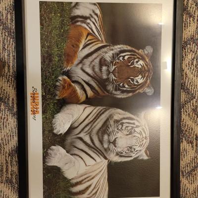 Big cats art lot