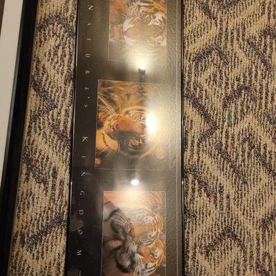 Big cats art lot