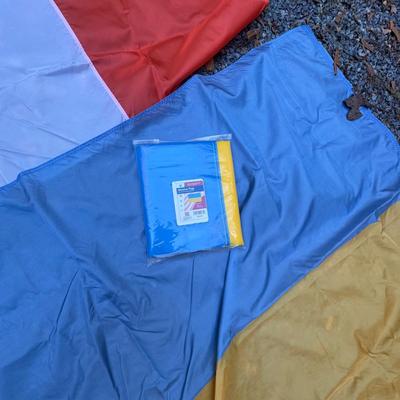 388 International Nylon Flag LOT