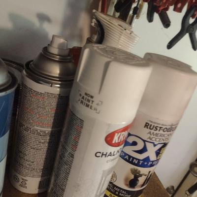 Assortment of Spray Paints and Other