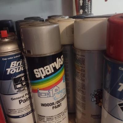 Assortment of Spray Paints and Other