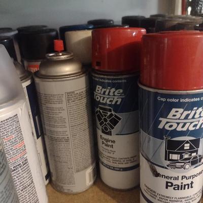 Assortment of Spray Paints and Other