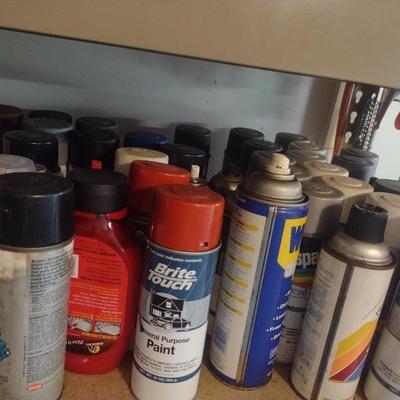 Assortment of Spray Paints and Other
