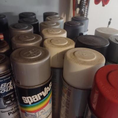 Assortment of Spray Paints and Other