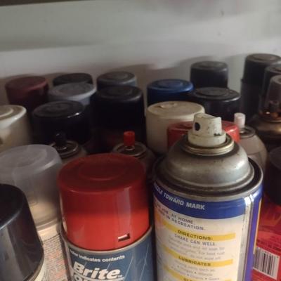 Assortment of Spray Paints and Other