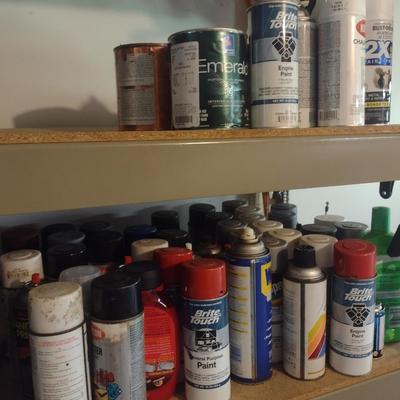 Assortment of Spray Paints and Other