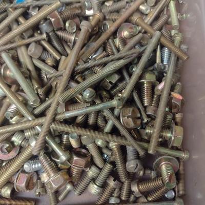 Assortment of Machine and Metal Screws Various Sizes and Uses (G-1)