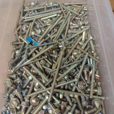 Assortment of Machine and Metal Screws Various Sizes and Uses (G-1)