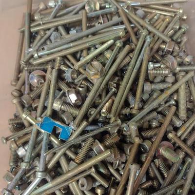 Assortment of Machine and Metal Screws Various Sizes and Uses (G-1)