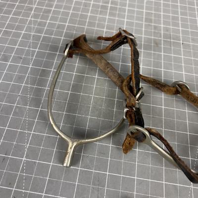 Pair of Calvary Spur and A Brass Stirrup