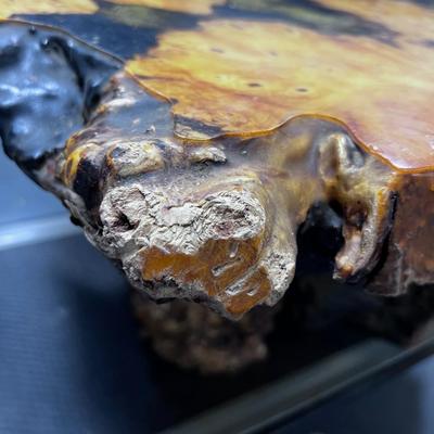 BURL Vintage Coffee Table Ranch Style from the 60's