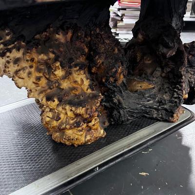 BURL Vintage Coffee Table Ranch Style from the 60's