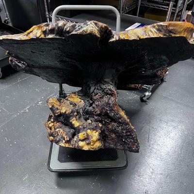 BURL Vintage Coffee Table Ranch Style from the 60's