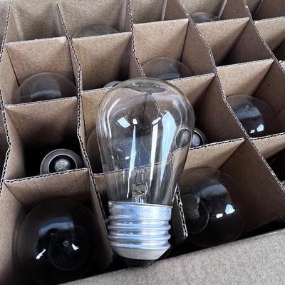 24 Brand New Light Bulbs in Box