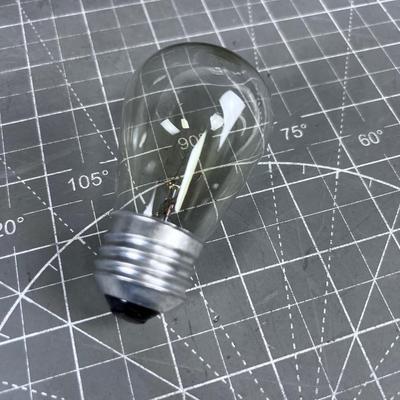 24 Brand New Light Bulbs in Box