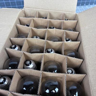 24 Brand New Light Bulbs in Box