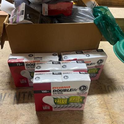 Large Selection of Light Bulbs (BWS-MG)