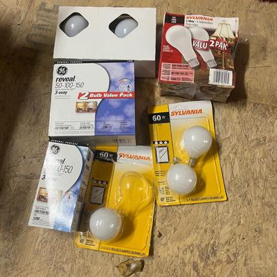 Large Selection of Light Bulbs (BWS-MG)