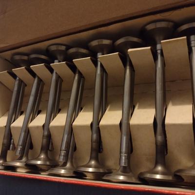 Manley Brand V High Performance Valves Choice C