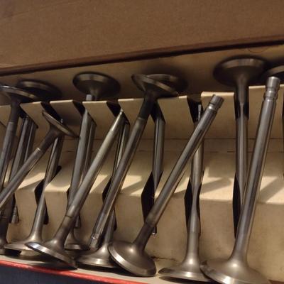 Manley Brand V High Performance Valves Choice C