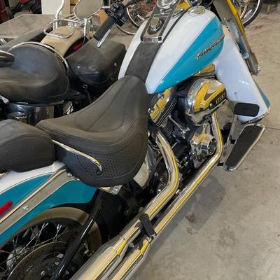 2017 Crushed Ice Pearl/Frosted Teal Softail Harley Davidson
